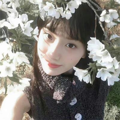 真相吧！花花万物